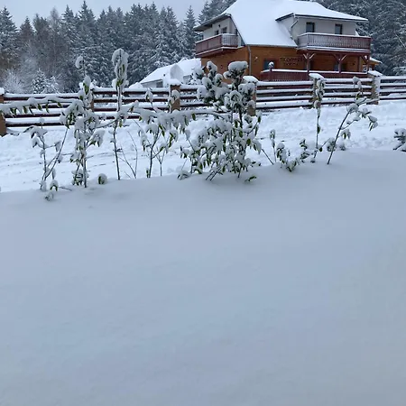 Snowcat 公寓 阿贝尔塔米