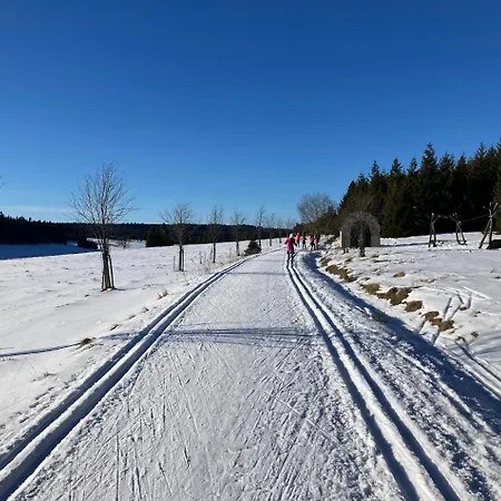 Snowcat Appartamento *